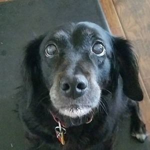 Meet your Posher, Jason